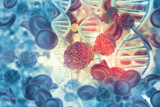 Transient Absorption Spectroscopy in Photodynamic Therapy for Cancer Treatment